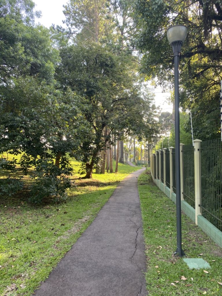Paradiso 1 e 2 — foto 3