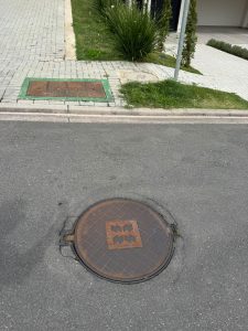 Alta Vista