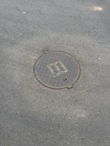 Volpi